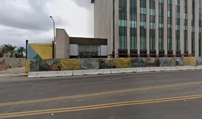The Diennet Institute