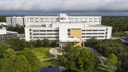 Mayo Clinic Bariatric Center