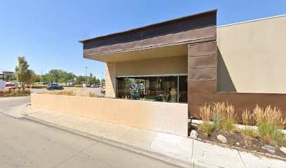 The Aesthetic Life Med Spa & Wellness