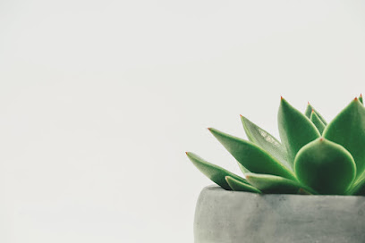 Alpharetta Wellness Clinic