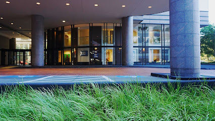 Photo 4 of Ideal Health Medical Center